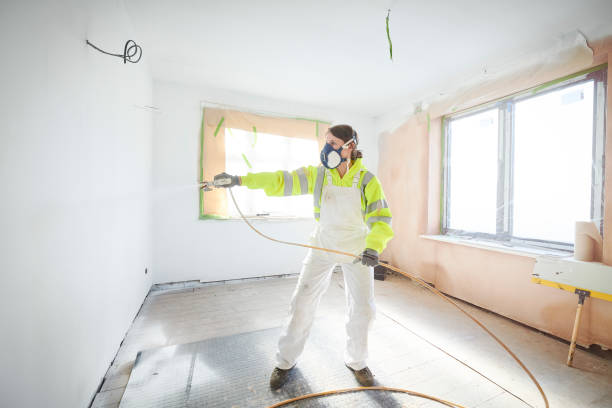 Best Water Damage & Mold Remediation  in New Middletown, OH