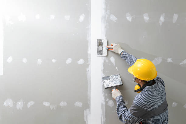 Best Biohazard Mold Removal  in New Middletown, OH