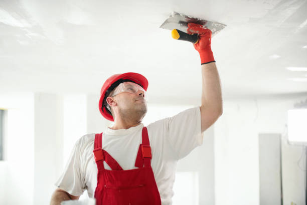 Best Commercial Mold Inspection  in New Middletown, OH