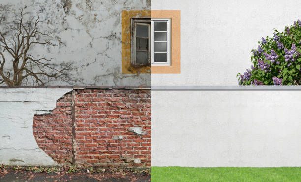 Best Comprehensive Air Testing for Mold Contaminants  in New Middletown, OH