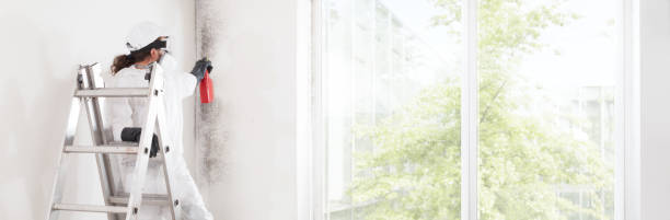 Best Mold-Related Health Consultation  in New Middletown, OH
